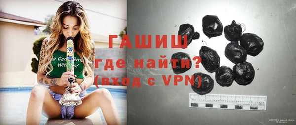 шишки Саяногорск