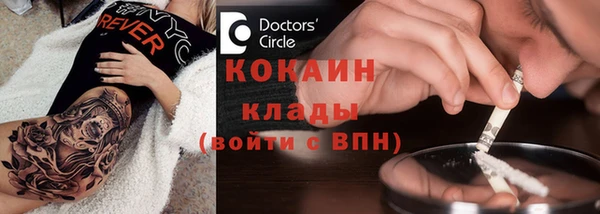 шишки Саяногорск