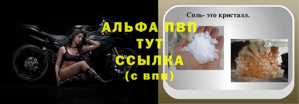 шишки Саяногорск