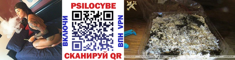 Галлюциногенные грибы Psilocybe  мега онион  Спас-Деменск  магазин продажи  
